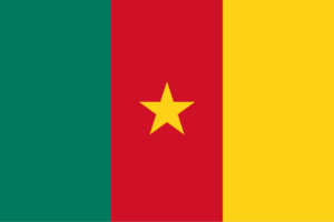 Recruit Candidates in Cameroon